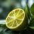 Limonka – zdrowotne właściwości, składniki i przeciwwskazania