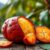 Mamey sapote – właściwości, zastosowanie i zdrowotne korzyści
