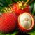 Rambutan: egzotyczny owoc, jego właściwości i działanie zdrowotne