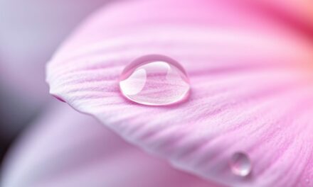 Cica krem – jak działa na skórę wrażliwą i kiedy warto go stosować dla efektywnej regeneracji?