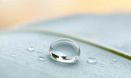 Trehaloza w pielęgnacji skóry: nawilżenie, ochrona i wsparcie bariery wrażliwej cery