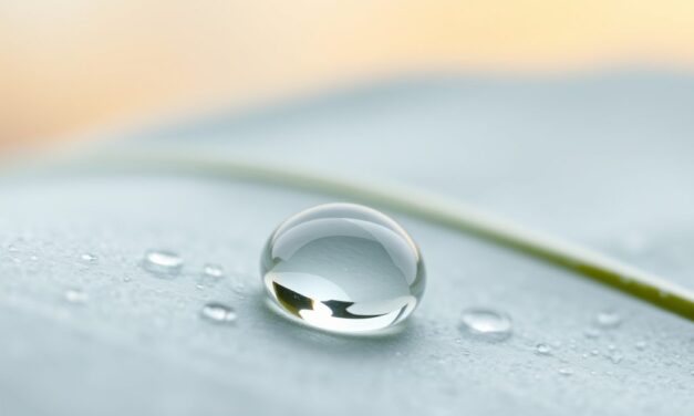 Trehaloza w pielęgnacji skóry: nawilżenie, ochrona i wsparcie bariery wrażliwej cery